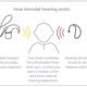 Bimodal Hearing